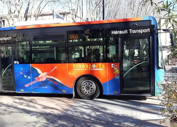 Happy For Apartman Lunel